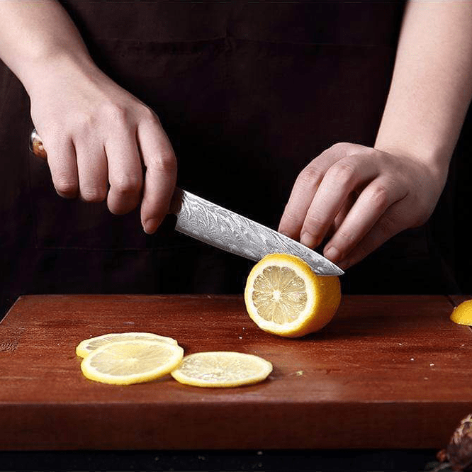 SAKUTO (作東) Ensemble de couteaux de cuisine japonais en acier damassé avec manche en résine